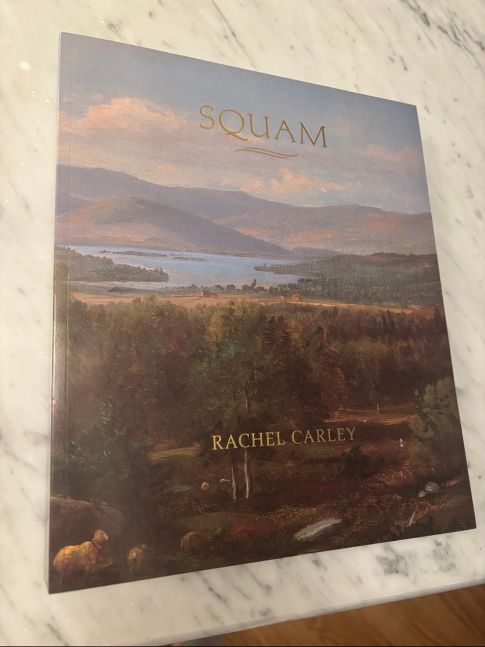 'Squam' Decorative Art Book - Blue & Brown Cover